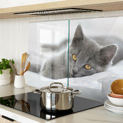 Tagliere in vetro con stampa di un gatto dagli occhi gialli