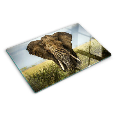 Tagliere in vetro temperato Elefante sullo sfondo della savana africana