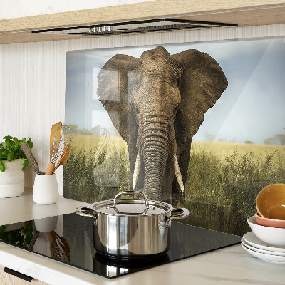 Tagliere in vetro temperato con decorazione di un elefante sullo sfondo della savana africana