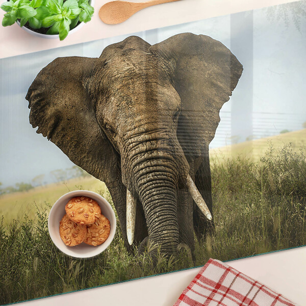 Tagliere in vetro temperato con decorazione di un elefante sullo sfondo della savana africana