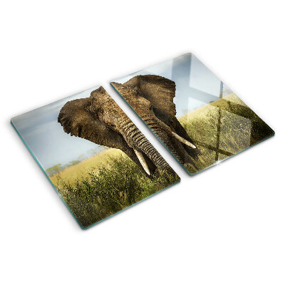 Tagliere in vetro temperato Elefante sullo sfondo della savana africana