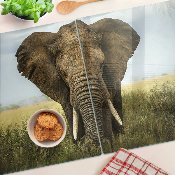 Tagliere in vetro temperato Elefante sullo sfondo della savana africana