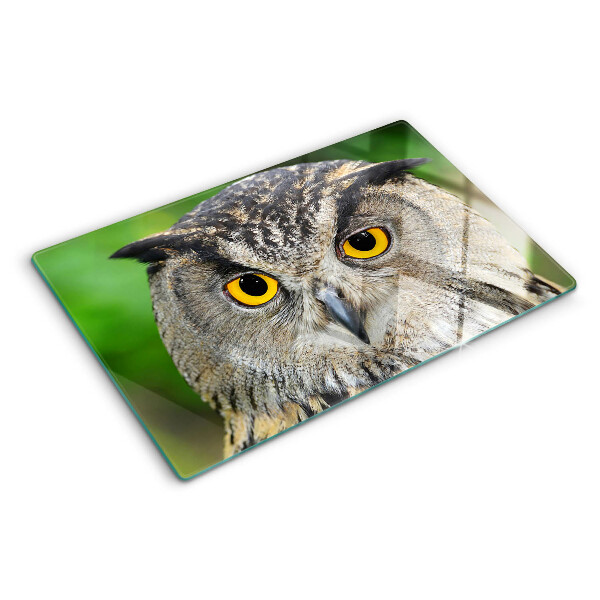 Tagliere in vetro temperato con motivo a gufo dagli occhi espressivi