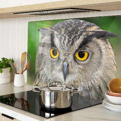 Tagliere in vetro temperato con motivo a gufo dagli occhi espressivi