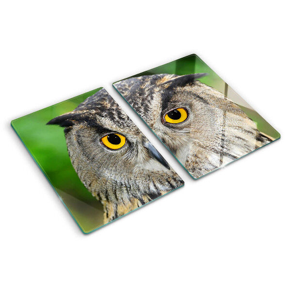 Tagliere in vetro temperato con motivo a gufo dagli occhi espressivi