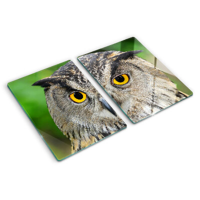 Tagliere in vetro temperato con motivo a gufo dagli occhi espressivi