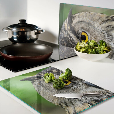 Tagliere in vetro temperato con motivo a gufo dagli occhi espressivi