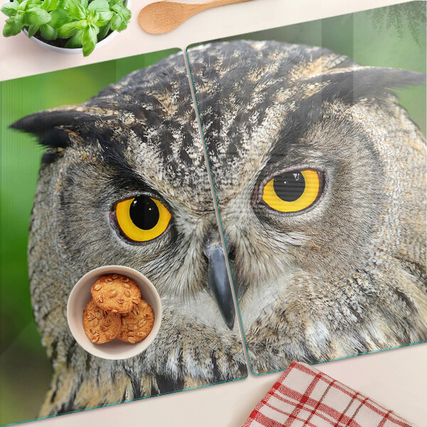 Tagliere in vetro temperato con motivo a gufo dagli occhi espressivi