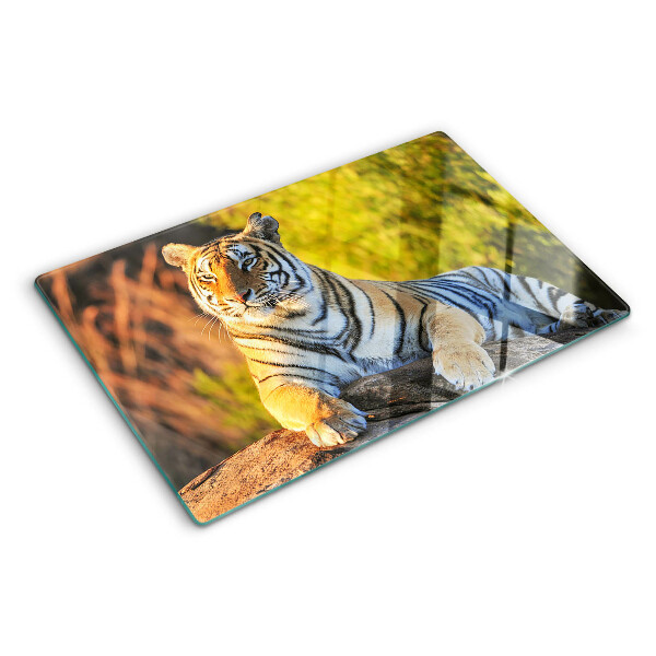 Tagliere in vetro Tigre sullo sfondo della natura