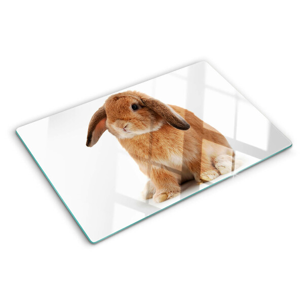 Tagliere in vetro temperato con motivo coniglio su sfondo bianco