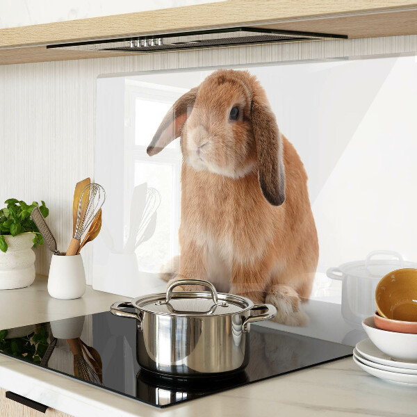 Tagliere in vetro temperato con motivo coniglio su sfondo bianco