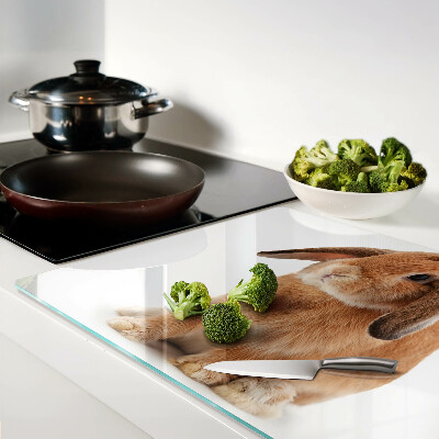 Tagliere in vetro temperato con motivo coniglio su sfondo bianco