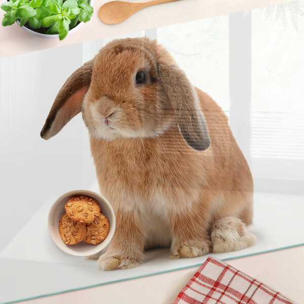 Tagliere in vetro temperato con motivo coniglio su sfondo bianco