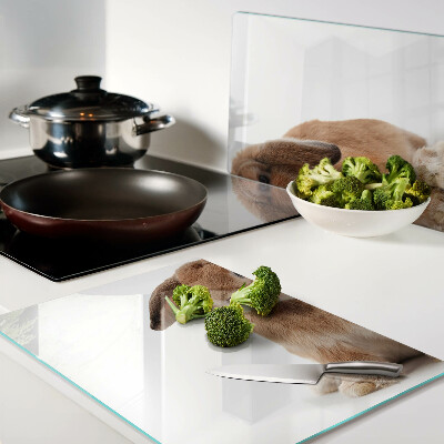 Tagliere in vetro temperato con motivo coniglio su sfondo bianco