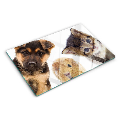 Tagliere in vetro temperato Cani, gatti, conigli