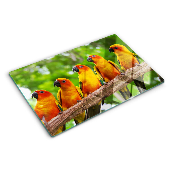 Tagliere in vetro con disegno di pappagalli su un ramo
