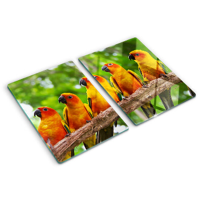 Tagliere in vetro con disegno di pappagalli su un ramo