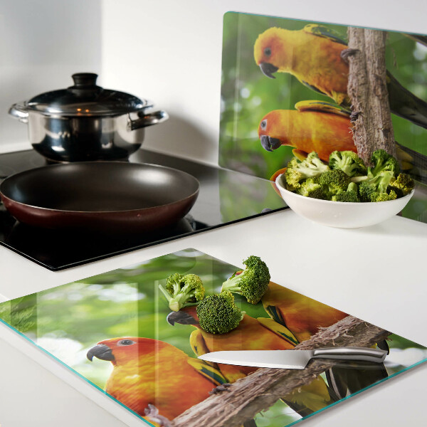 Tagliere in vetro con disegno di pappagalli su un ramo