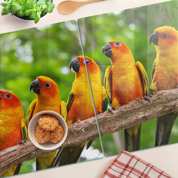 Tagliere in vetro con disegno di pappagalli su un ramo