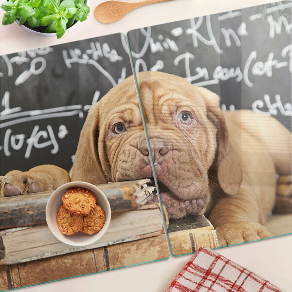 Tagliere in vetro con stampa raffigurante un cane accanto a libri e una lavagna