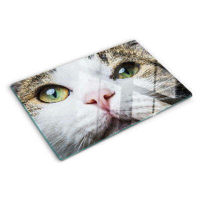 Tagliere in vetro temperato con stampa di un gatto dagli occhi verdi