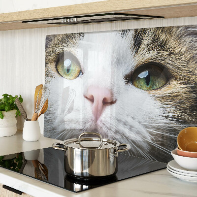Tagliere in vetro temperato con stampa di un gatto dagli occhi verdi