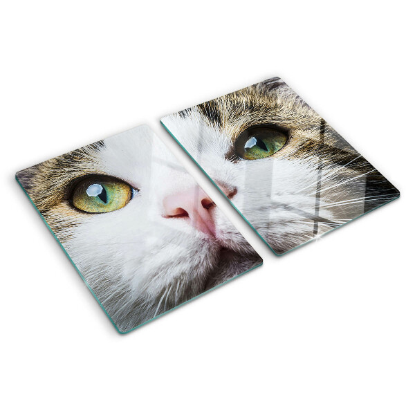 Tagliere in vetro temperato con stampa di un gatto dagli occhi verdi