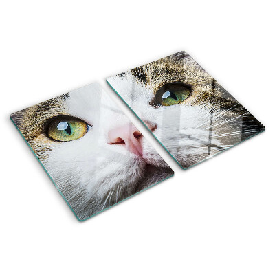 Tagliere in vetro temperato con stampa di un gatto dagli occhi verdi