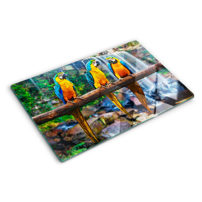 Tagliere in vetro temperato con stampa di pappagalli su un ramo nella foresta tropicale