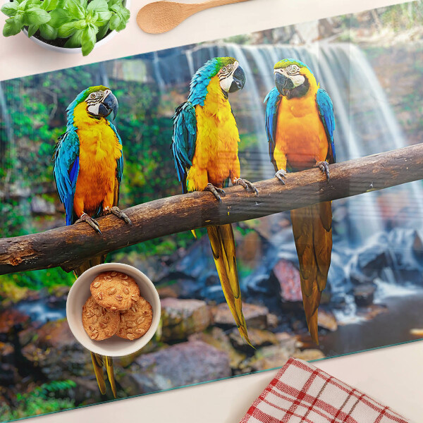 Tagliere in vetro temperato con stampa di pappagalli su un ramo nella foresta tropicale