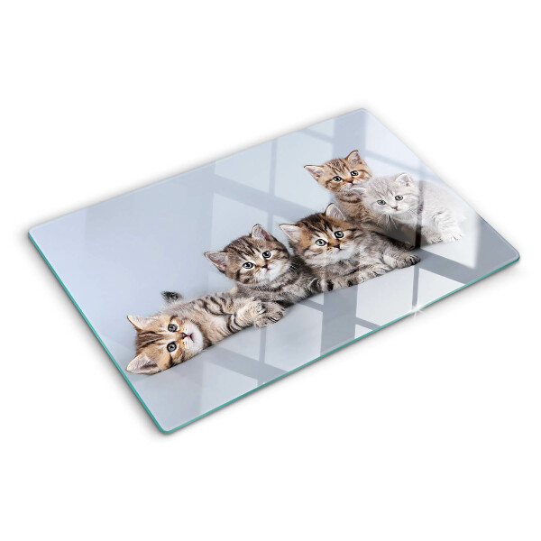 Tagliere in vetro con stampa di gatti sullo sfondo di una finestra