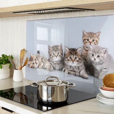 Tagliere in vetro con stampa di gatti sullo sfondo di una finestra