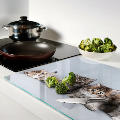 Tagliere in vetro con stampa di gatti sullo sfondo di una finestra