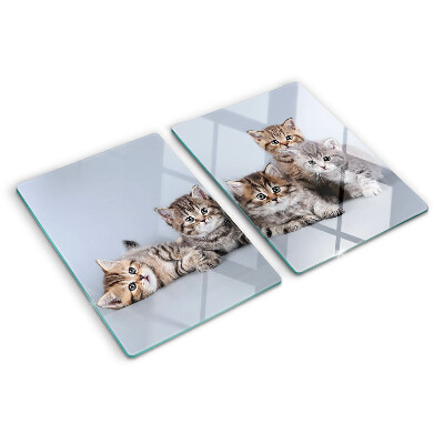 Tagliere in vetro con stampa di gatti sullo sfondo di una finestra