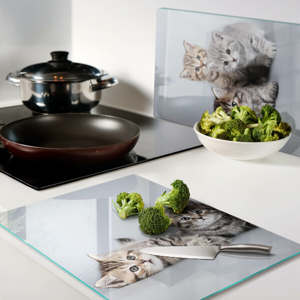 Tagliere in vetro con stampa di gatti sullo sfondo di una finestra
