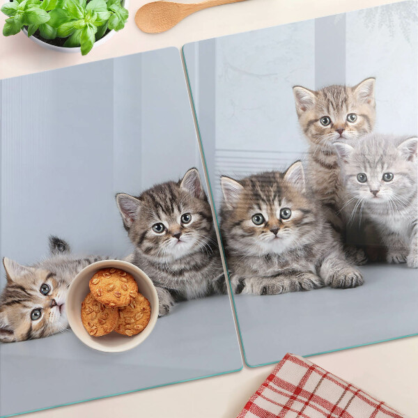 Tagliere in vetro con stampa di gatti sullo sfondo di una finestra