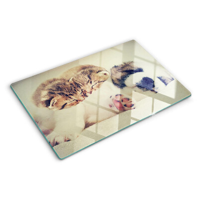 Tagliere in vetro temperato con stampa di gatti e di un cagnolino che dormono insieme