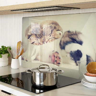 Tagliere in vetro temperato con stampa di gatti e di un cagnolino che dormono insieme