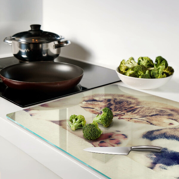 Tagliere in vetro temperato con stampa di gatti e di un cagnolino che dormono insieme