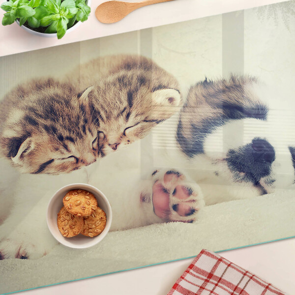 Tagliere in vetro temperato con stampa di gatti e di un cagnolino che dormono insieme