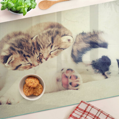 Tagliere in vetro temperato con stampa di gatti e di un cagnolino che dormono insieme