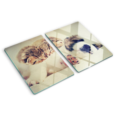 Tagliere in vetro temperato con stampa di gatti e di un cagnolino che dormono insieme
