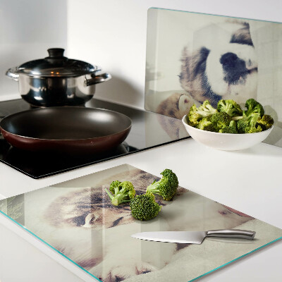 Tagliere in vetro temperato con stampa di gatti e di un cagnolino che dormono insieme