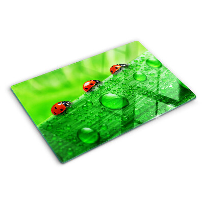 Tagliere in vetro temperato con motivo di coccinelle su sfondo verde