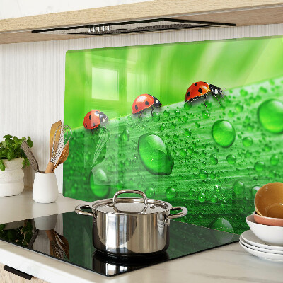 Tagliere in vetro temperato con motivo di coccinelle su sfondo verde