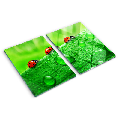 Tagliere in vetro temperato con motivo di coccinelle su sfondo verde