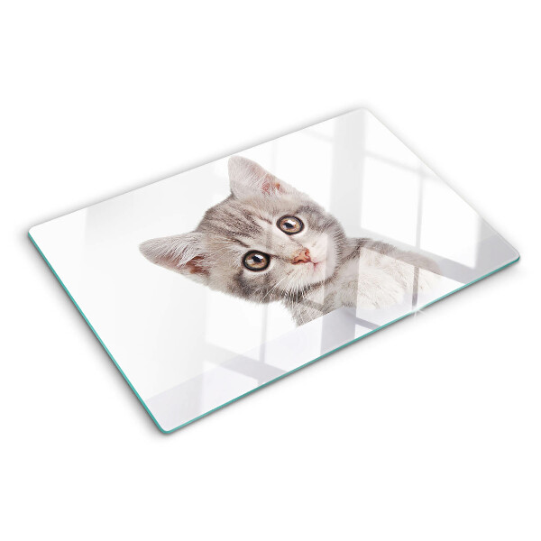 Tagliere in vetro con stampa di un gattino dagli occhi grandi