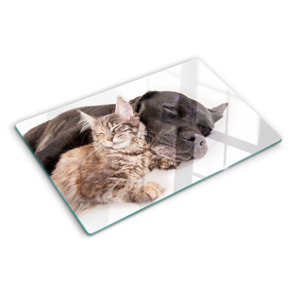 Tagliere in vetro con decorazione raffigurante un gatto e un cane che dormono insieme