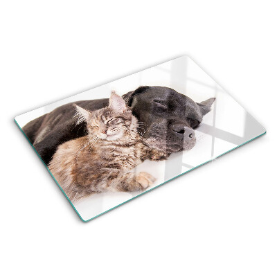 Tagliere in vetro con decorazione raffigurante un gatto e un cane che dormono insieme