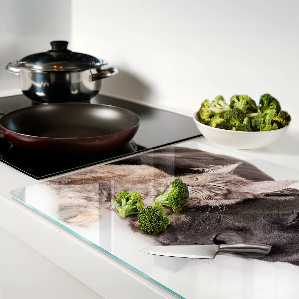 Tagliere in vetro con decorazione raffigurante un gatto e un cane che dormono insieme